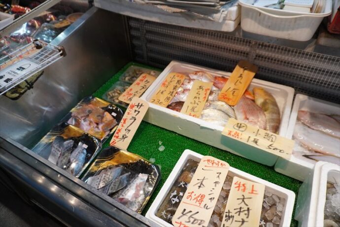 有明海の魚介類