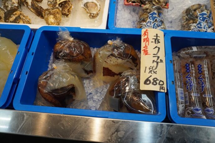 くらげ